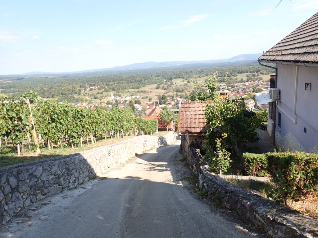 Asfaltna cesta med hišami in vinogradi nad Semičem